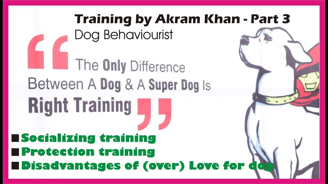 dog care courses Dog Socializing training | Dog Protection training by Akram Khan in hindi
