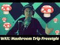 Wax  mushroom trip freestyle
