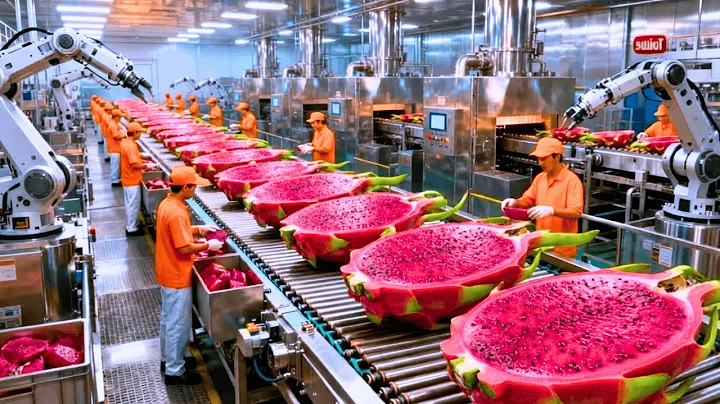 Inside a Modern Red Dragon Fruit Factory: From Fresh Red Dragon Fruit to Delicious Dessert