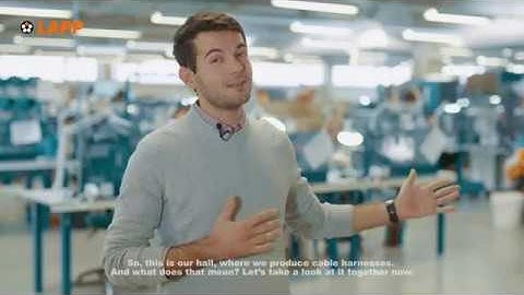 How we work in LAPP? (English version)