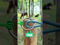 The Strongest Rope Knot on a Nail You’ve Never Seen#knot #rope #satisfying #shorts
