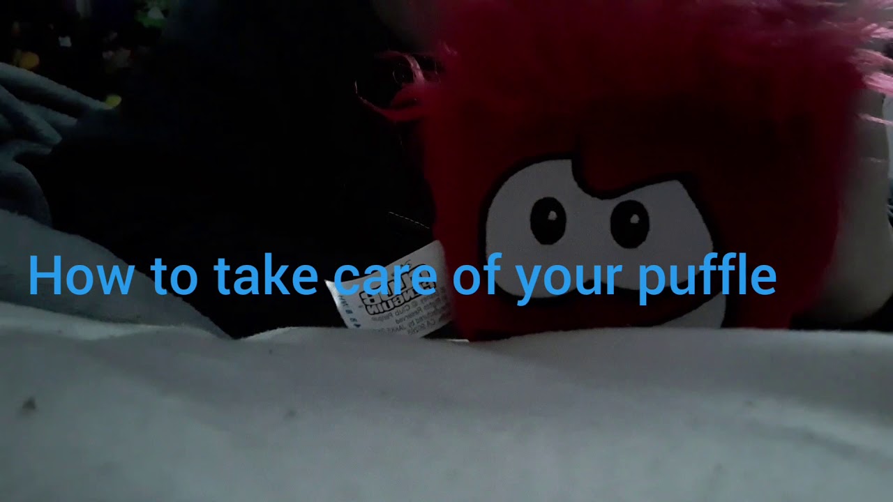 How To Take Care Of Your Puffle