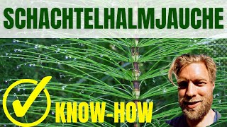 Schachtelhalmjauche herstellen | Nachhaltig Grtnern