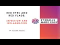 Red Eyes and Red Flags - Part 2