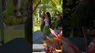 Each sway is an echo of traditions rich with aloha 🌺🎶