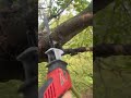Milwuakee M12 Hackzall Cutting Up Trees