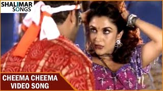 Chinadamma Cheekulu Video Song || Simhadri Movie || Jr NTR, Bhoomika , Ankitha || Shalimar Songs