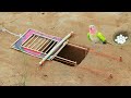 Underground Bird Parrot Trap Make From Deep Hole&  And Wood That Work 100% . A Lot Off Eggs