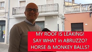 #107 ABRUZZO ITALY MY ROOF IS LEAKING-OH NO!Misinterpretation of English word Horse & MONKEY BALLS?