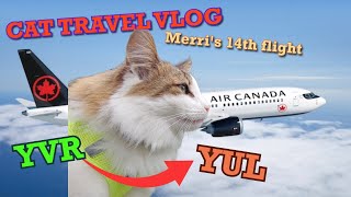 NOVEMBER 2024 Vancouver Vlog Last morning in Vancouver flight to Montreal hotel cat