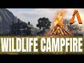 GTA V FiveM Wildlife Campfire Script (2026) | Full Control • Standalone • ESX/QBCore