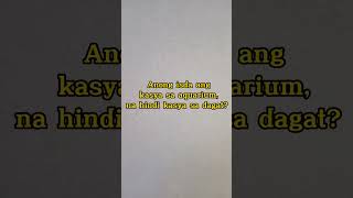 Anong isda ang kasya sa aquarium, na hindi kasya sa dagat? 🤔🧠 #logic #logicquestions #youtubeshorts