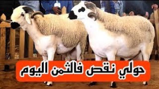 سوق الأسبوعي سيدي يحي ماشاء الله الناس تتشري كاين لخير موجود مع الرخا 2023/6/27