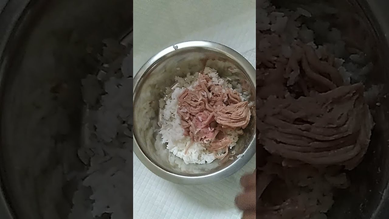 Feeding German Shepherd Puppy BARF LIVE YouTube feeding-german-shepherd-puppy-barf-live-youtube