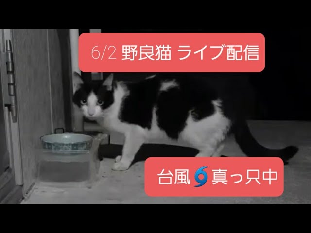  - HeartVod
