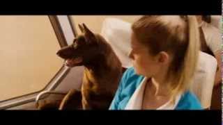 Bande annonce Red Dog 