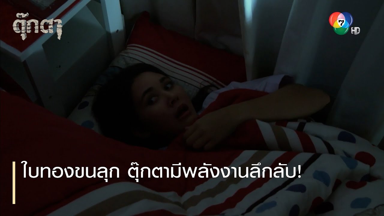 ใบทองขนลุก ตุ๊กตามีพลังงานลึกลับ! | ตอกย้ำความสนุก ตุ๊กตา EP.9 | Ch7HD