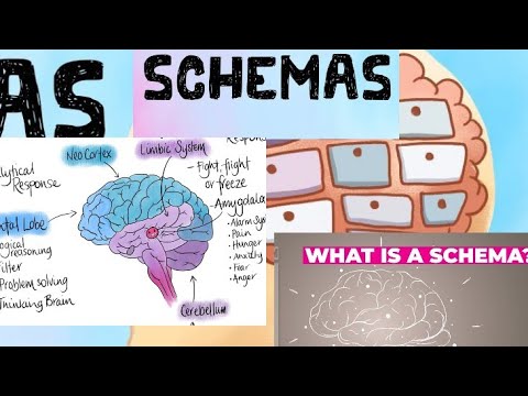 Schemas and types of schemes in social psychology