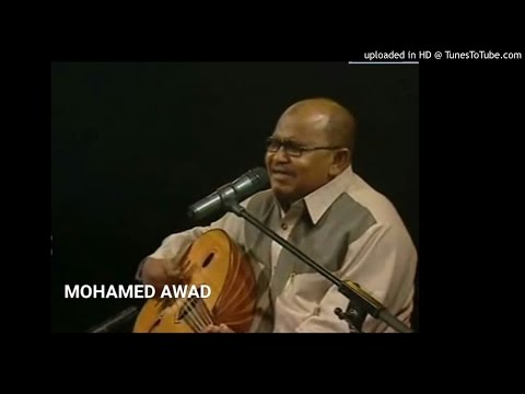 الامين عبدالغفار جيتنا من وين قعدة بالعود 