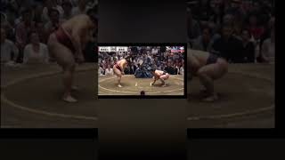 Atamifuji vs. Fujiseun Natsu Basho 2026 Sumo #сумо #japan #sport #япония #mma #wwe #sumo #борьба