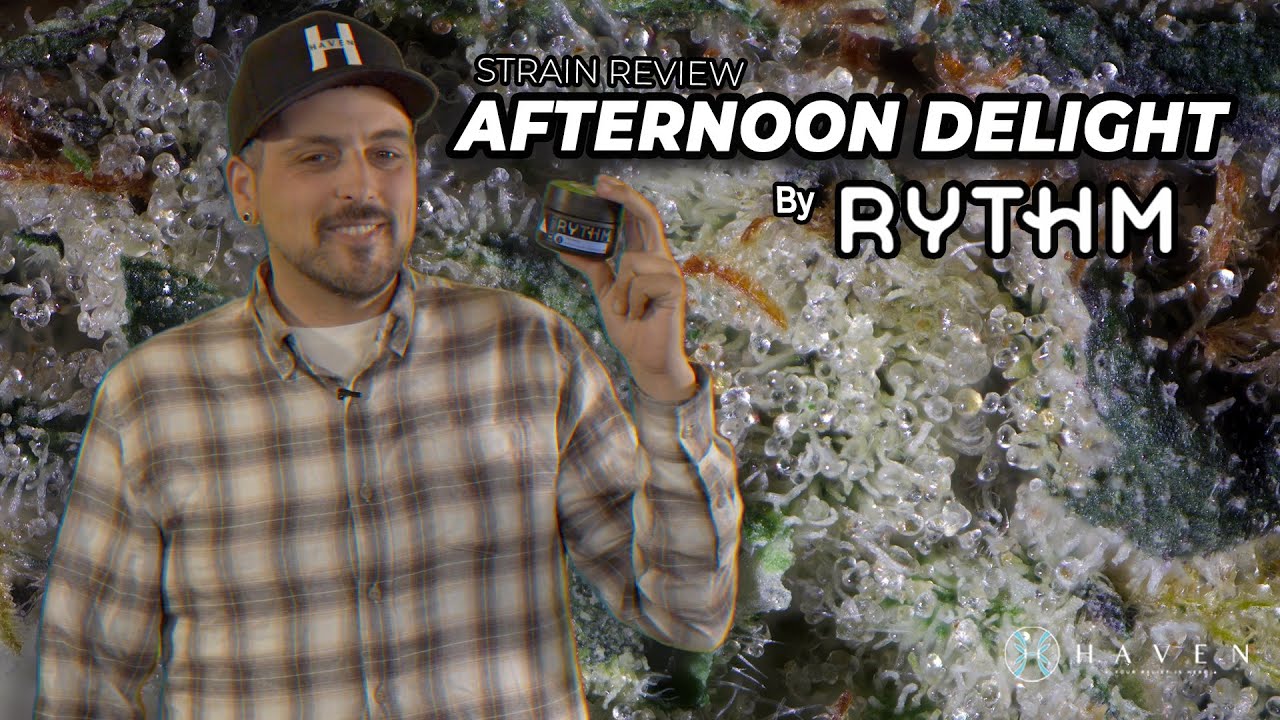 Afternoon Delight by Rythm