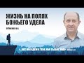 Жизнь на полях Божьего удела || Ерёменко В.Н.