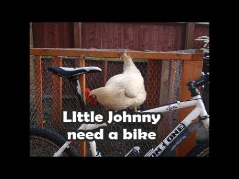 Little Johnny needs a bike Funny Joke Best jokes ever just laugh 