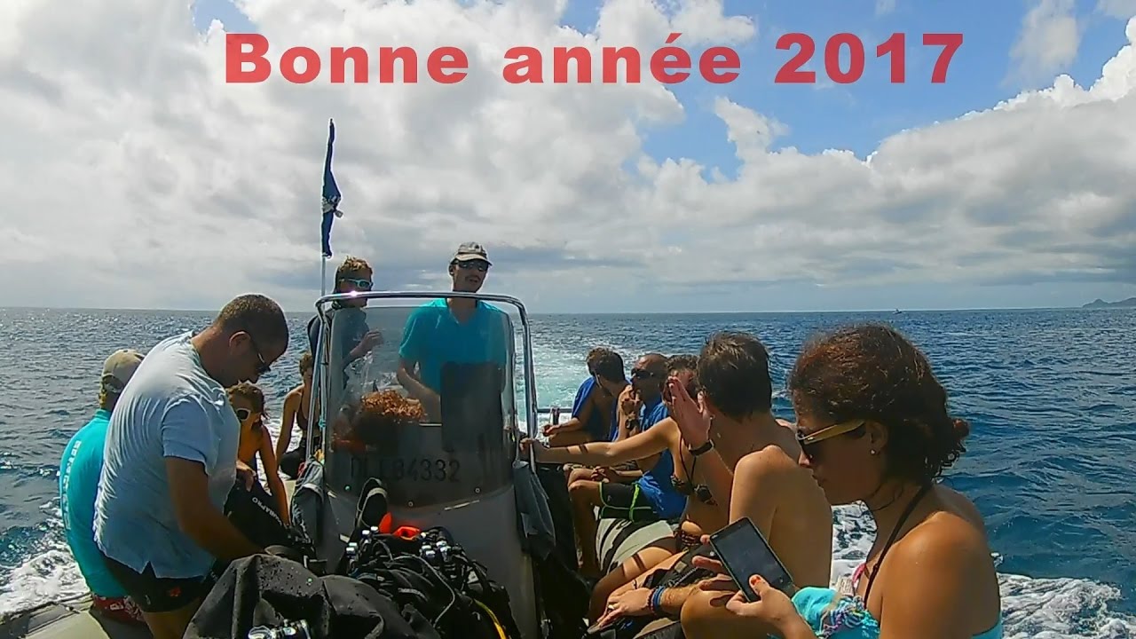 Plongée du nouvel an