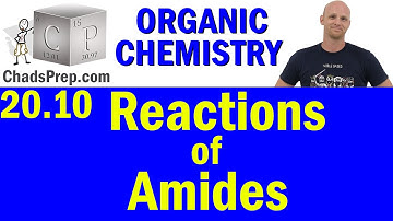 20.10 Synthesis and Reactions of Amides | Organic Chemistry