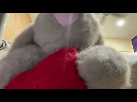 lucy-corbon amodio cover