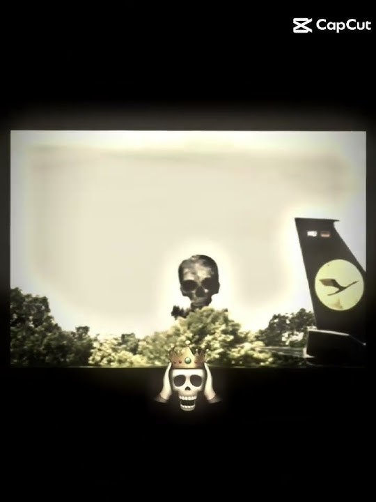 infected sky vs the flight mutationary