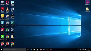Downloading and Installing Wamp Server