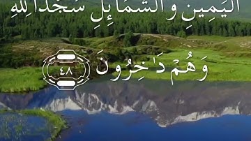 سورة النحل صفحة ٢٧٢ سعد الغامدي مكتوبة مكررة بصوت عذب