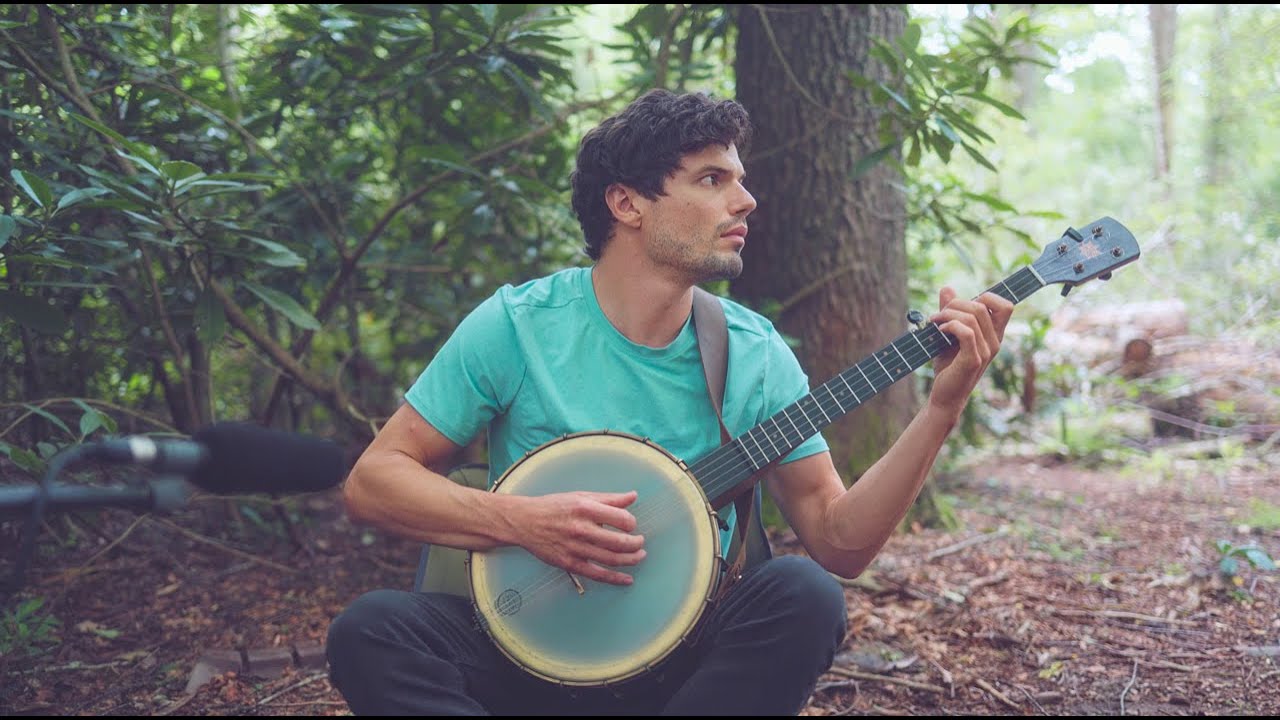The Moon Glade ~ dreaming banjo in a quiet wood | Wander & Rest