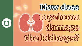 Kidney Disease in Multiple Myeloma: Causes and Treatment Risks Explained