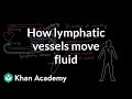 How lymphatic vessels move fluid | Lymphatic system physiology | NCLEX-RN | Khan Academy