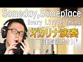 【オカリナ演奏】Someday,Someplace - Every Little Thing(運指図付き)
