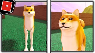 How to get DOGE BADGE + MORPH/SKIN in TREVOR CREATURES TEST! - Roblox