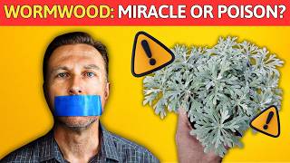 Wormwood Benefits from Dr Berg: Natural Parasite Cleanse or Dangerous Hallucinogen?
