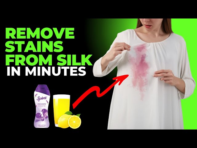 how to get stain out of silk dress The wedding is so soon how do I get this stain out #helpmeplease #waterstain #stainremover #stainremoverhack