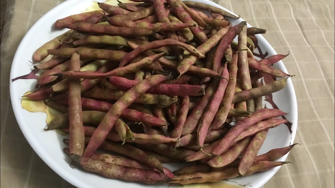 SOYA CHUNK GRAVY/. Soya beans curry / soya beans kuruma /kulambu Recipe