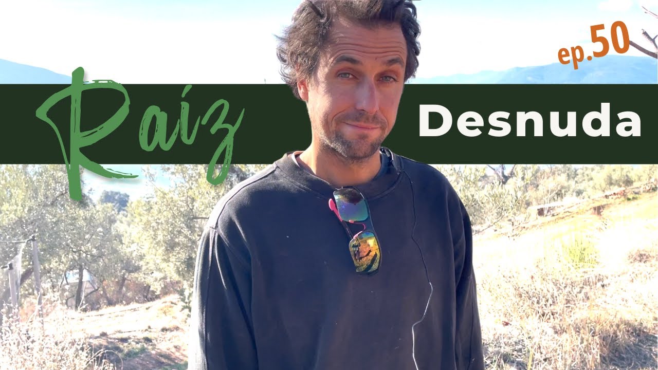 ¿Por qué plantar árboles a raíz desnuda? 🌳🌳👨‍🌾 [Episodio 50]