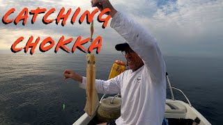 Catching Chokka (Squid) off East London