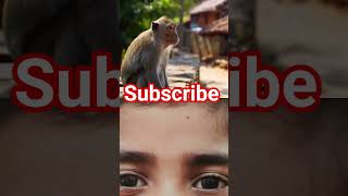 #voiceover #funny #comedy #dogs #memes #tamil #cat #monkey