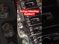 Cheap Saddles vs Strings!🤯 The Hidden Wear You Didn't Notice!