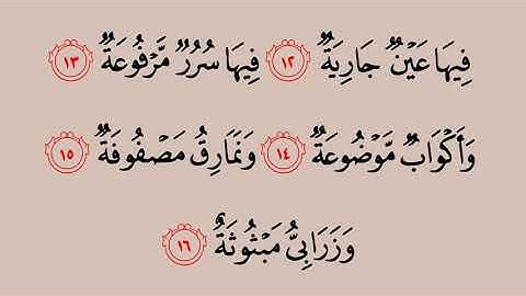 088 سورة الغاشية   ماهر المعيقلي    القرآن هدى للمتقين