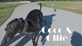 Coco & Ollie March 2024