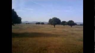 Paisajes de Cabañeros: de La raña a la Malamoneda