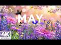Springtime Paradise 4K | Blooming Flowers, Butterflies & Bees in Relaxing Nature Scenery 🌸