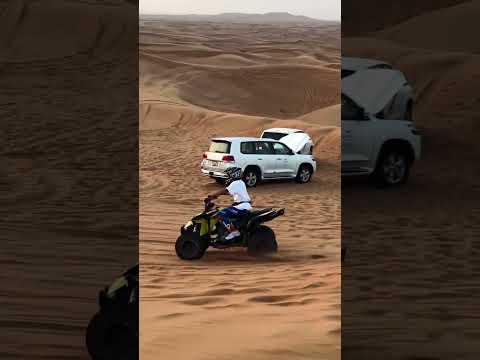 Dubai Desert Safari / Vip Desert Safari Dubai / Morning Desert Safari Dubai #foryou